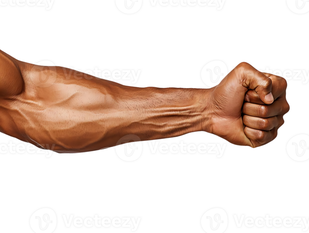 Arm Muscles Flexing, Showing Veins, on Transparent Background png
