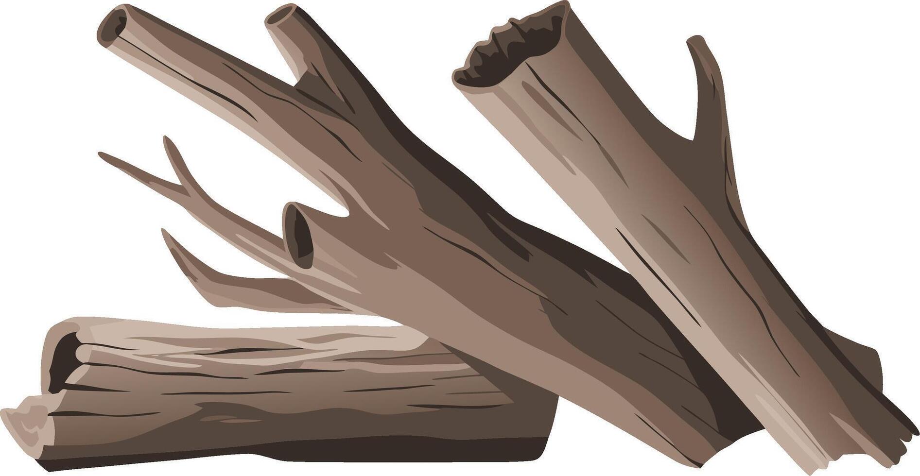 Realistic Brown Tree Branches Illustration for Nature and Craft Design vector