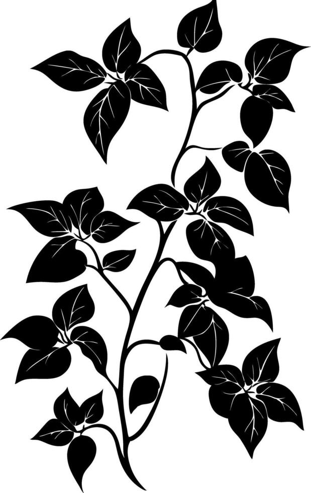 Black Silhouette Leafy Vine for Design and Decoration Use vector