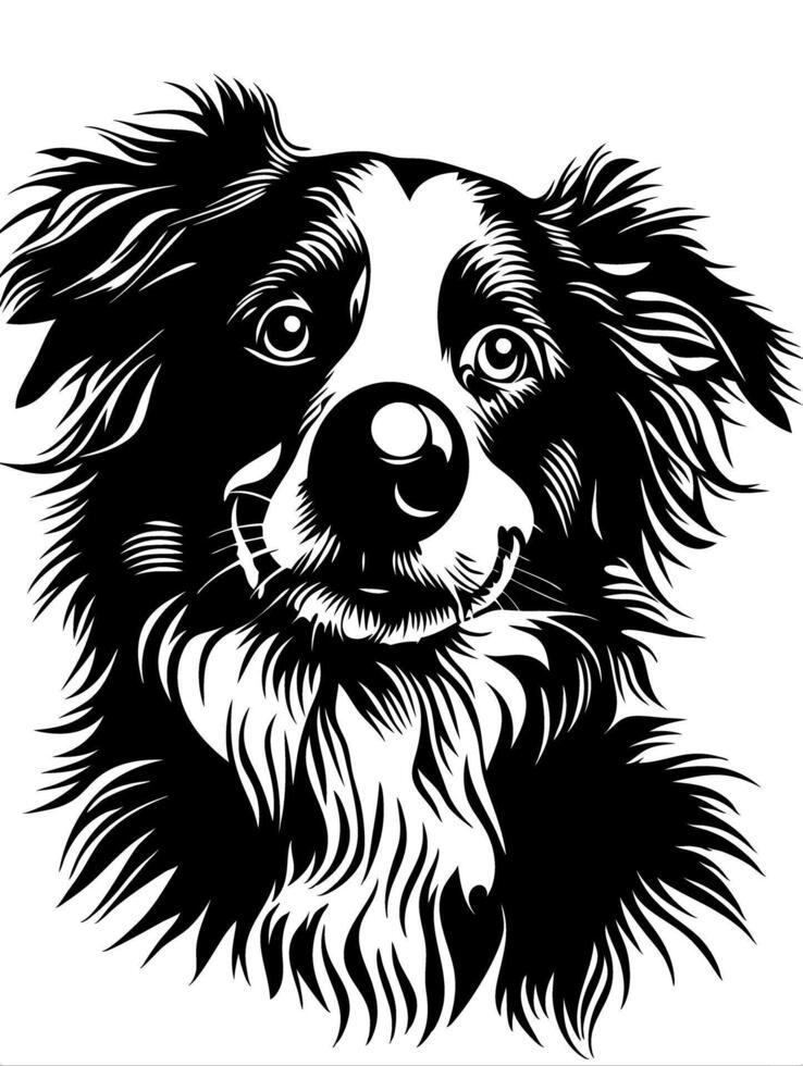 Detailed Border Collie Illustration for Pet Artwork and Design Projects vector