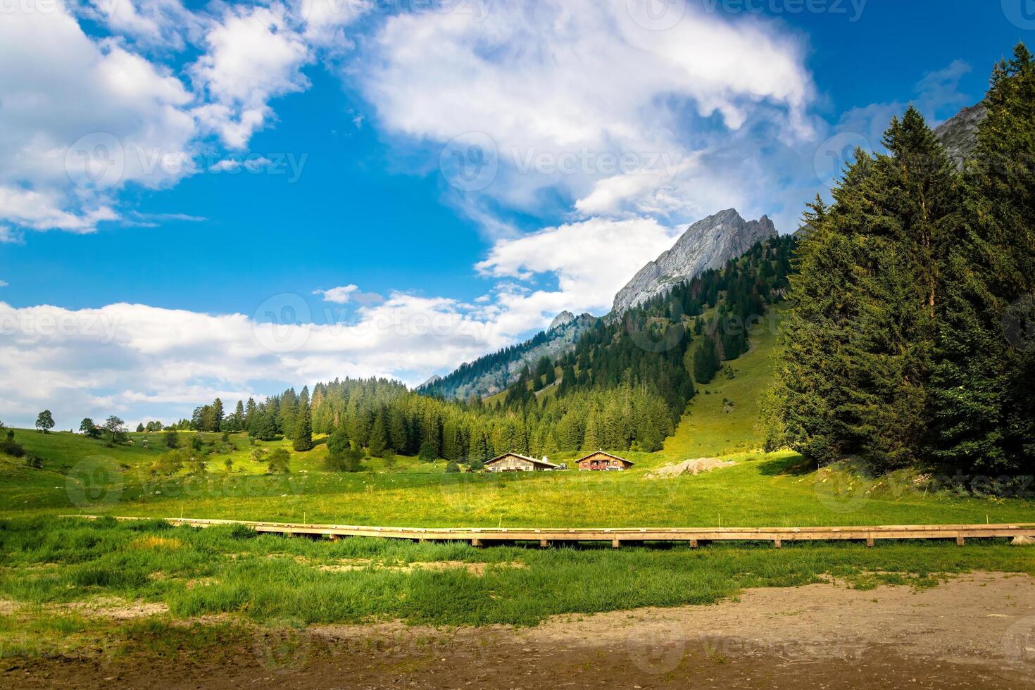 Panoramic shot of the mountain range and the meadow photo