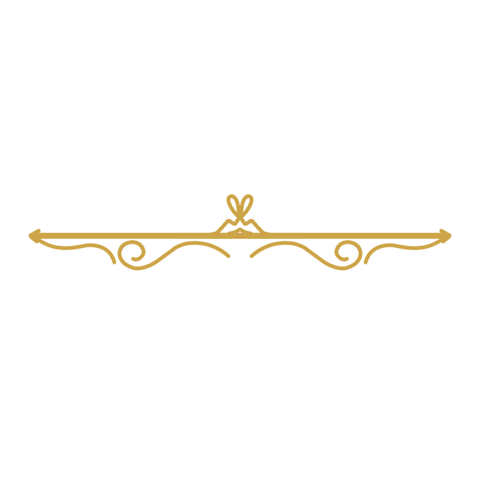 Decorative text divider png