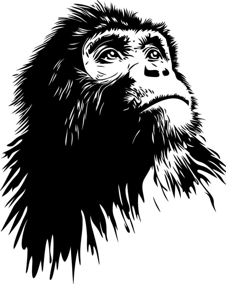Detailed Monkey Face Illustration for Art and Tattoo Design vector