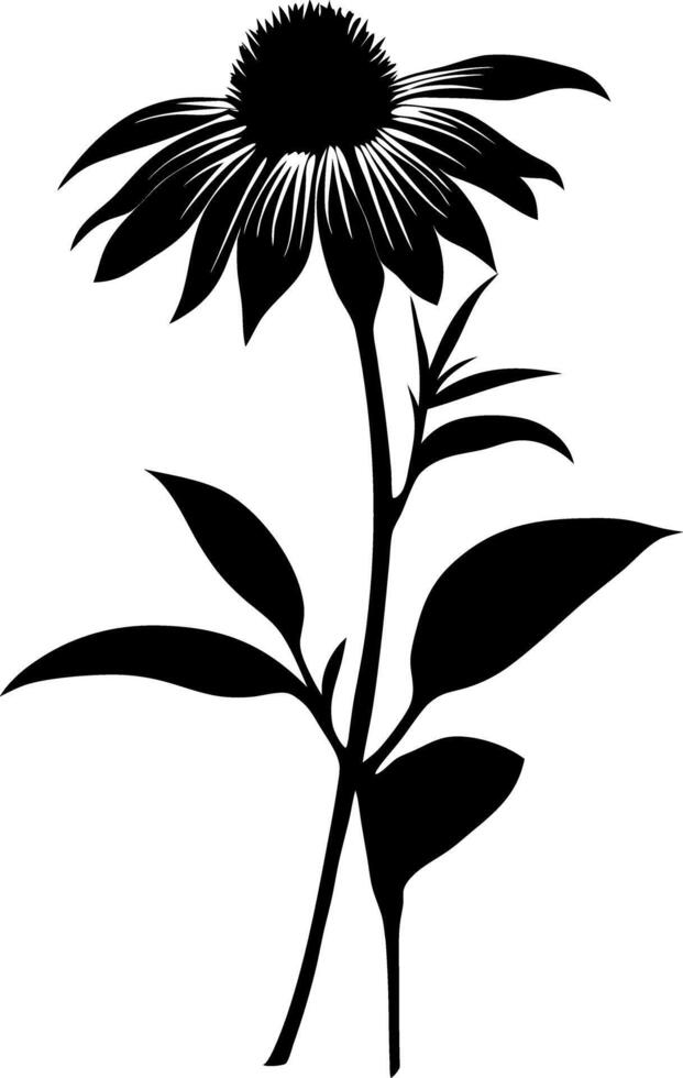 Black Silhouette of Echinacea Flower on Purple Background for Botanical Design vector