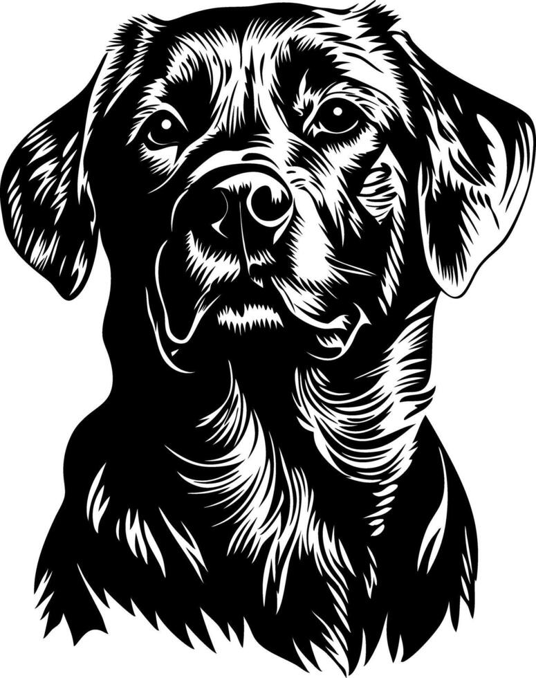 Majestic Labrador Retriever Art for Tattoos and Pet Illustrations vector