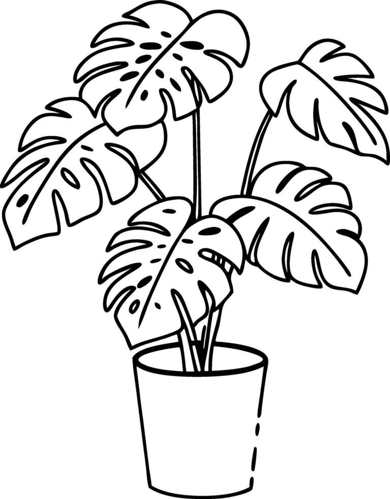 Monstera Plant Outline Illustration for Botanical Design and Decoration vector