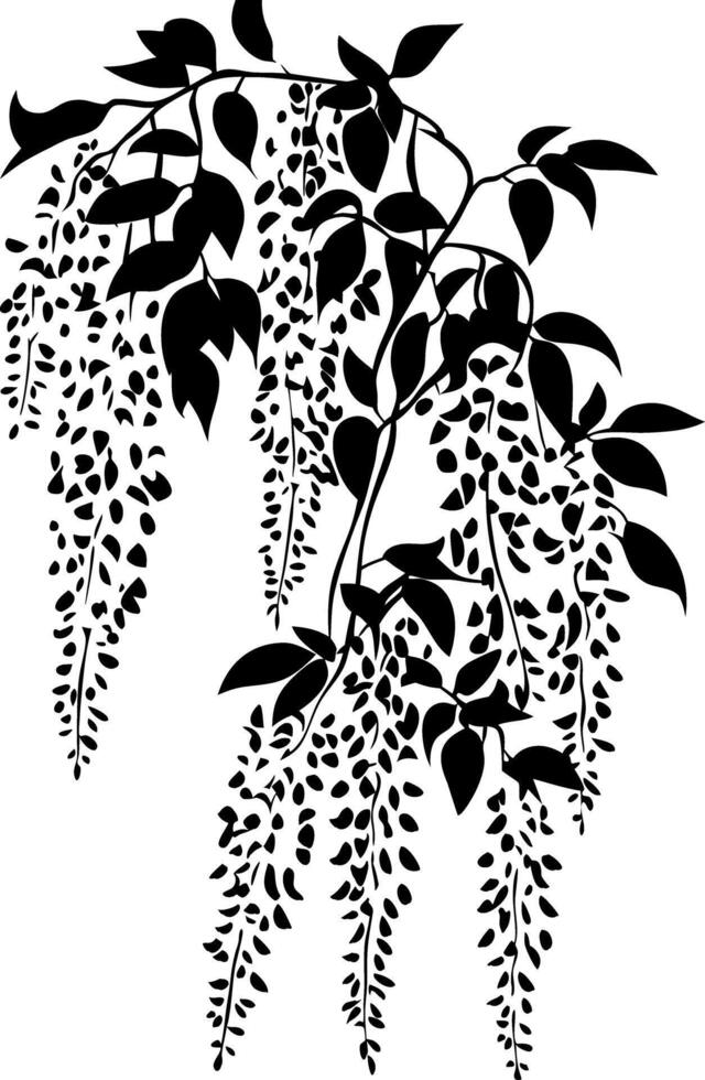 Elegant Wisteria Vine Silhouette for Art and Design Projects vector