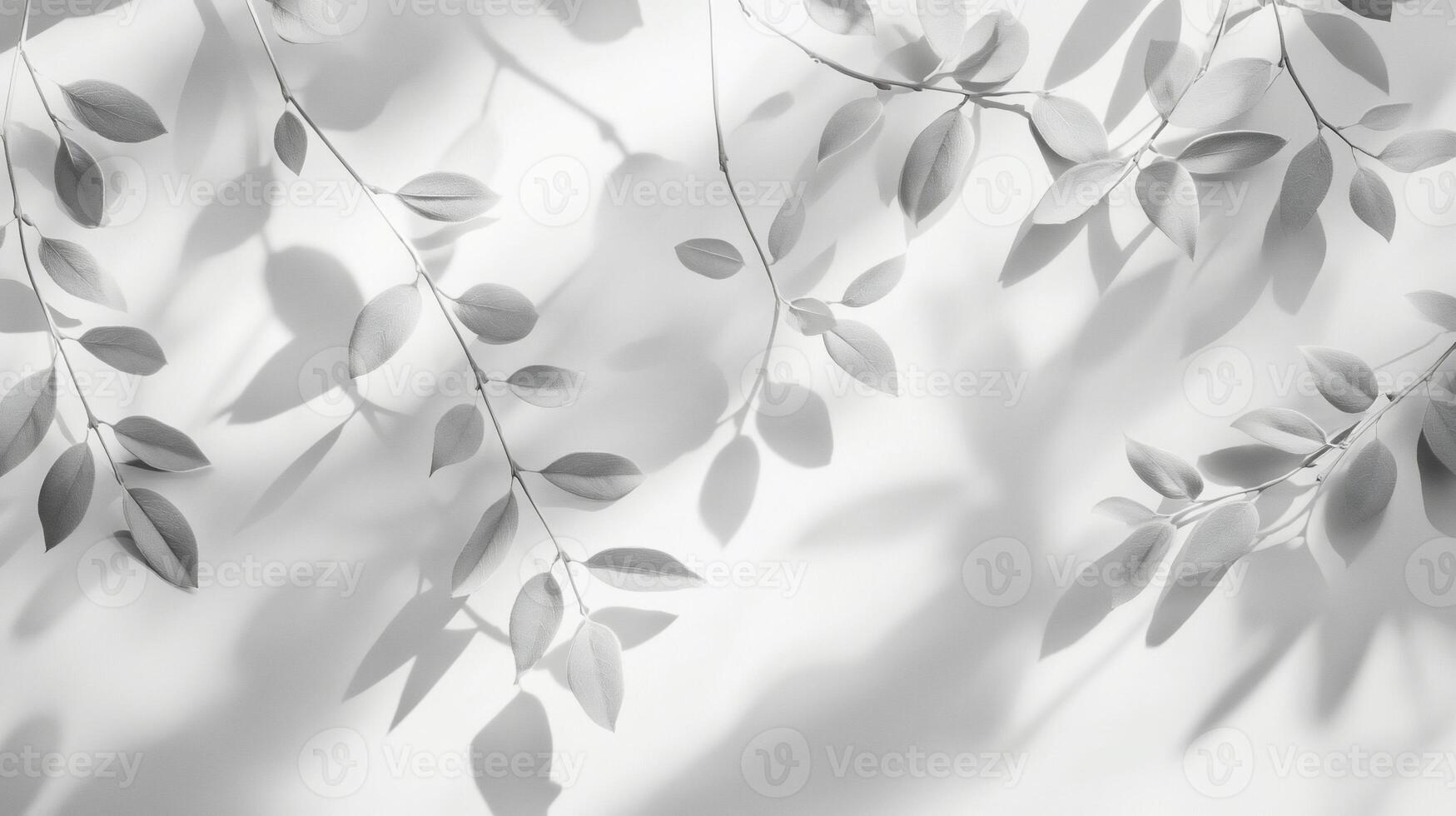 Monochrome leaf shadows and branches photo
