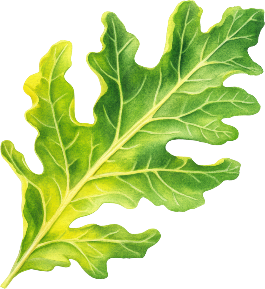 Vibrant Green Leaf Watercolor Illustration Botanical Nature Plant Detail png