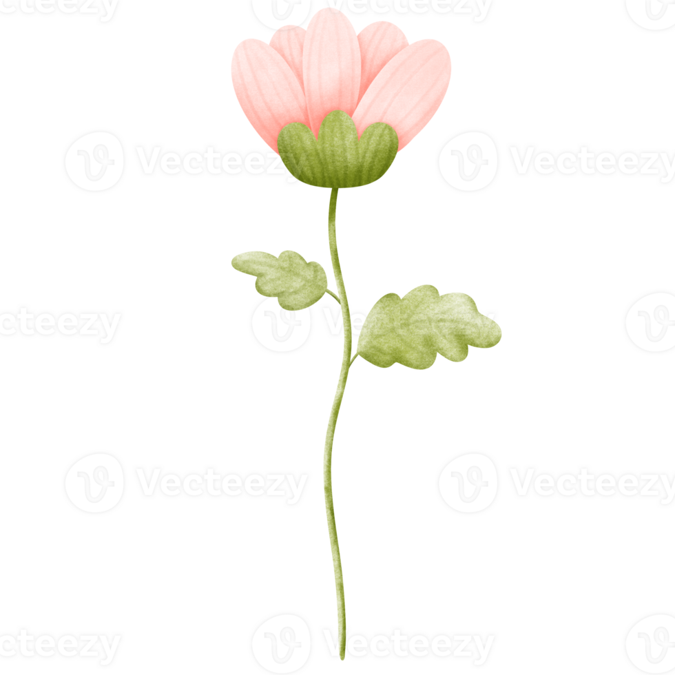 watercolor pink flower with green leaves on transparent background png