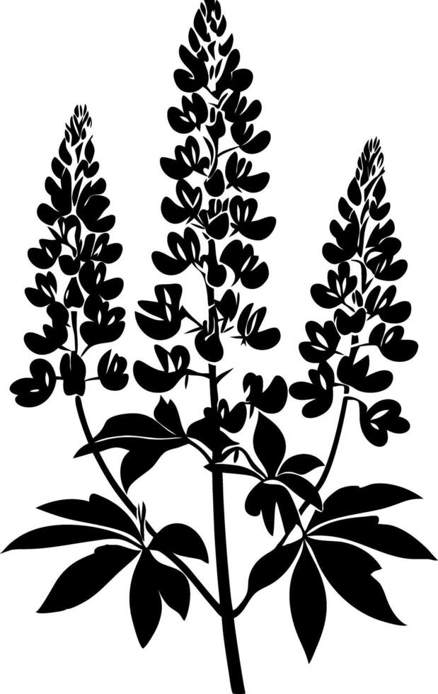 Black Silhouette of Lupine Flower for Nature Art and Design vector