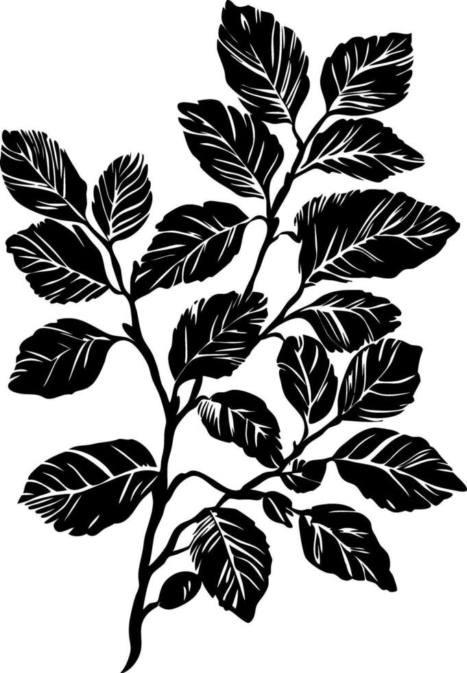 Black Silhouette Leafy Branch Illustration for Design and Decoration vector