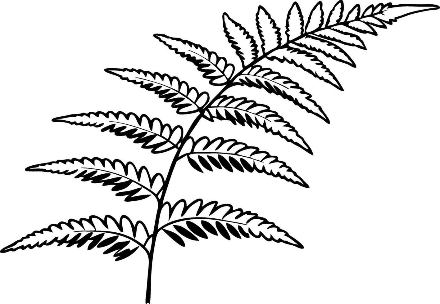 Elegant Fern Leaf Illustration for Nature Decor and Design vector