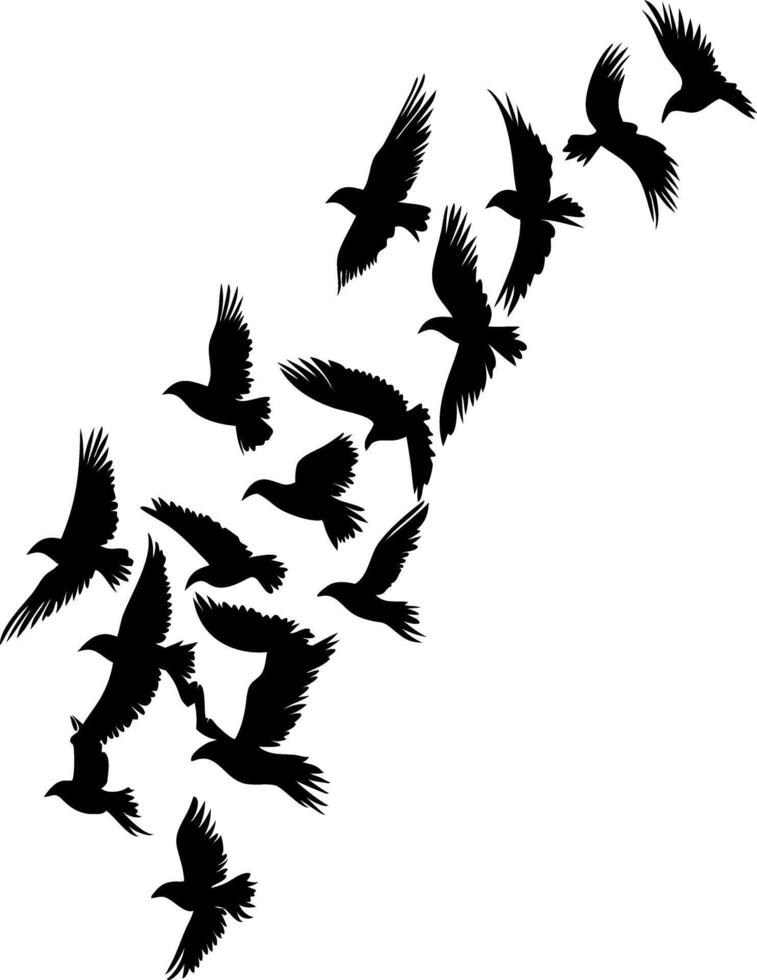 Silhouette Birds Flock Flying in Formation Illustrates Freedom and Nature Concept vector