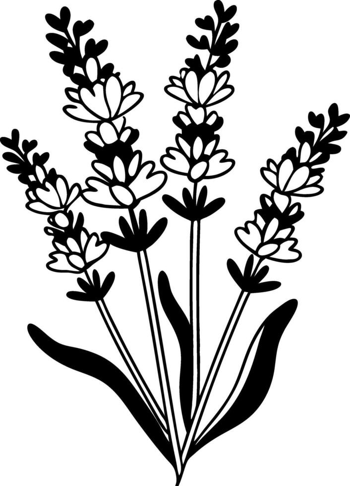 Elegant Lavender Flower Illustration for Botanical Designs vector