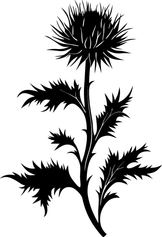 Bold Thistle Silhouette Nature Botanical Tattoo Design Art vector