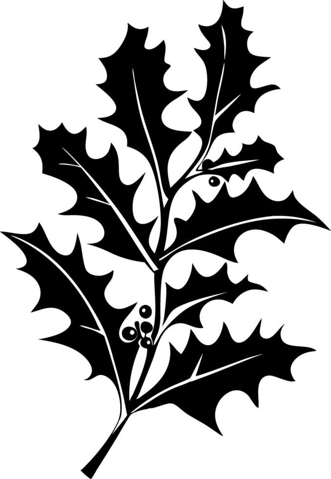 Black Silhouette Holly Leaves and Berries Graphic for Christmas Designs vector