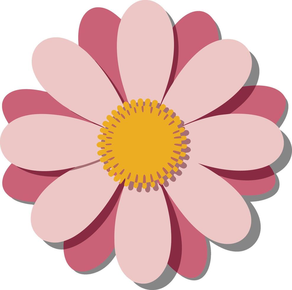 Pink Daisy Art with Yellow Center for Floral Design and Decoration vector