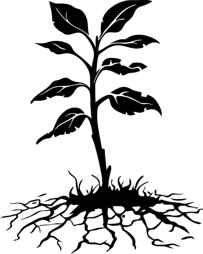 Plant Silhouette with Roots Art for Botanical Design and Educational Use vector