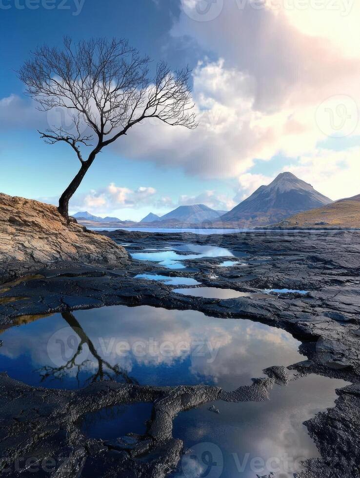 Solitary tree reflecting in calm water with mountains in the background photo