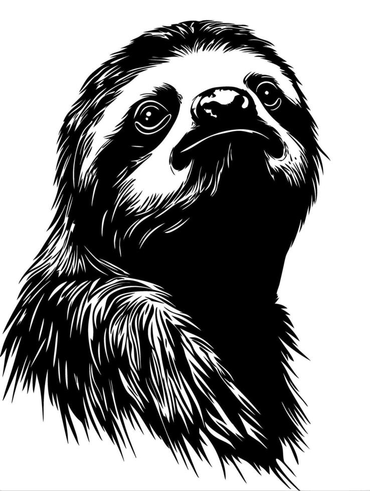 Intricate Black and White Sloth Face Illustration for Artistic Projects vector