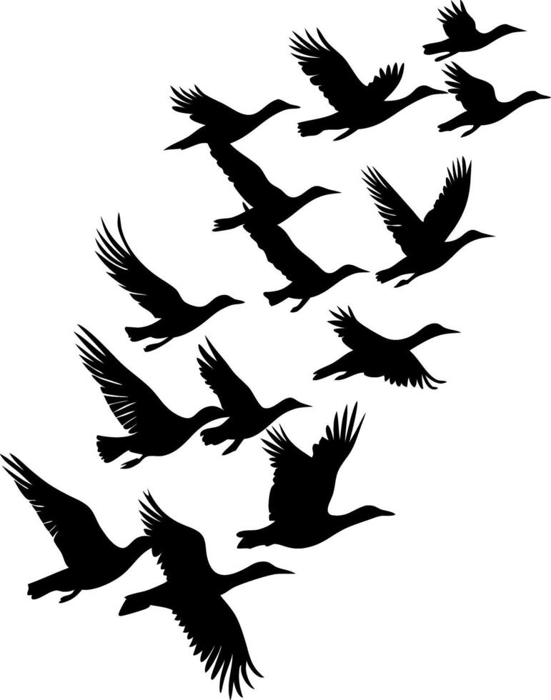 Flying Bird Silhouettes Illustration for Nature and Art Designs vector