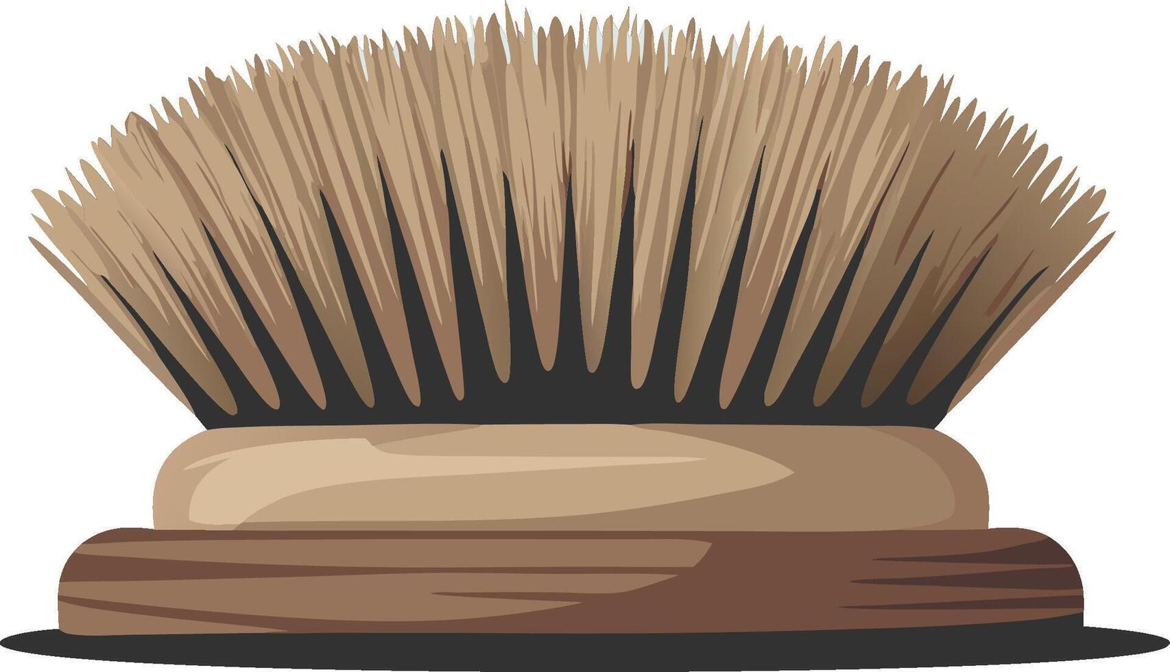 Natural Bristle Body Brush for Skincare and Spa Design Projects vector
