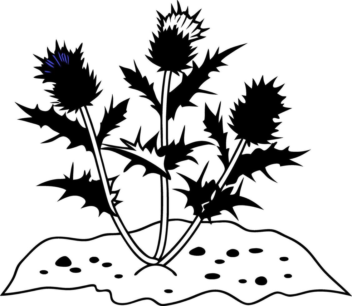 Black Silhouette Thistle Plant Illustration for Art and Design vector