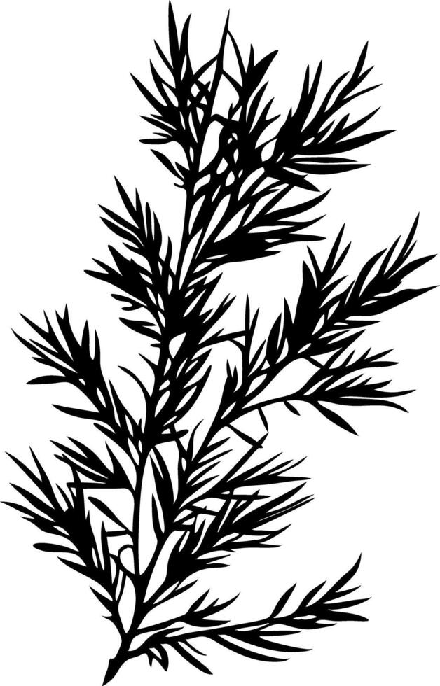 Botanical Herb Silhouette Illustration for Nature Themed Designs and Decor vector