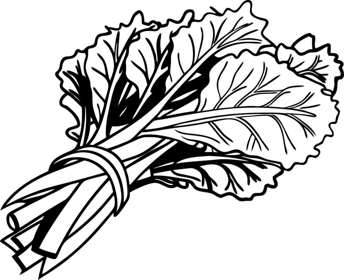 Illustration of Fresh Kale Leaves Bundle for Organic Food Design vector