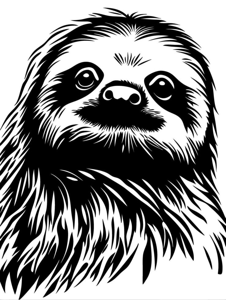 Sloth Illustration for Tattoo and Coloring Book Designs vector