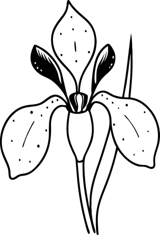 Elegant Abstract Iris Flower Line Art for Tattoo and Coloring Design vector