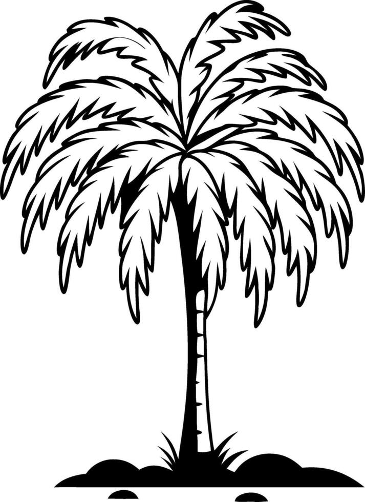 Tropical Palm Tree Illustration for Design and Decoration vector