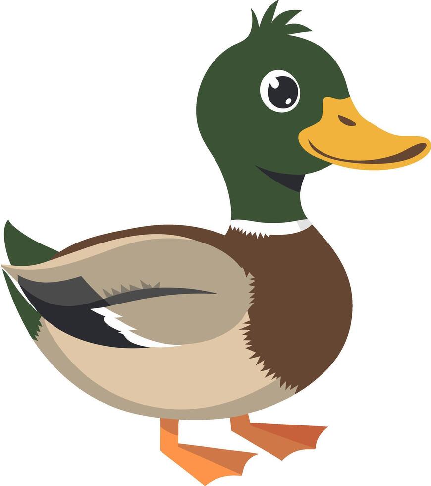 Cute Cartoon Mallard Duck for Nature Designs and Educational Materials vector