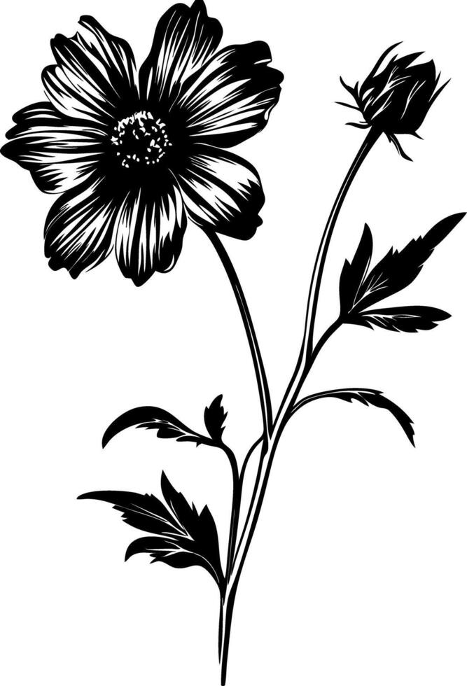 Floral Botanical Illustration for Art and Design Projects vector
