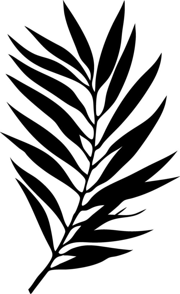 Black Silhouette of Tropical Palm Leaf Illustration vector