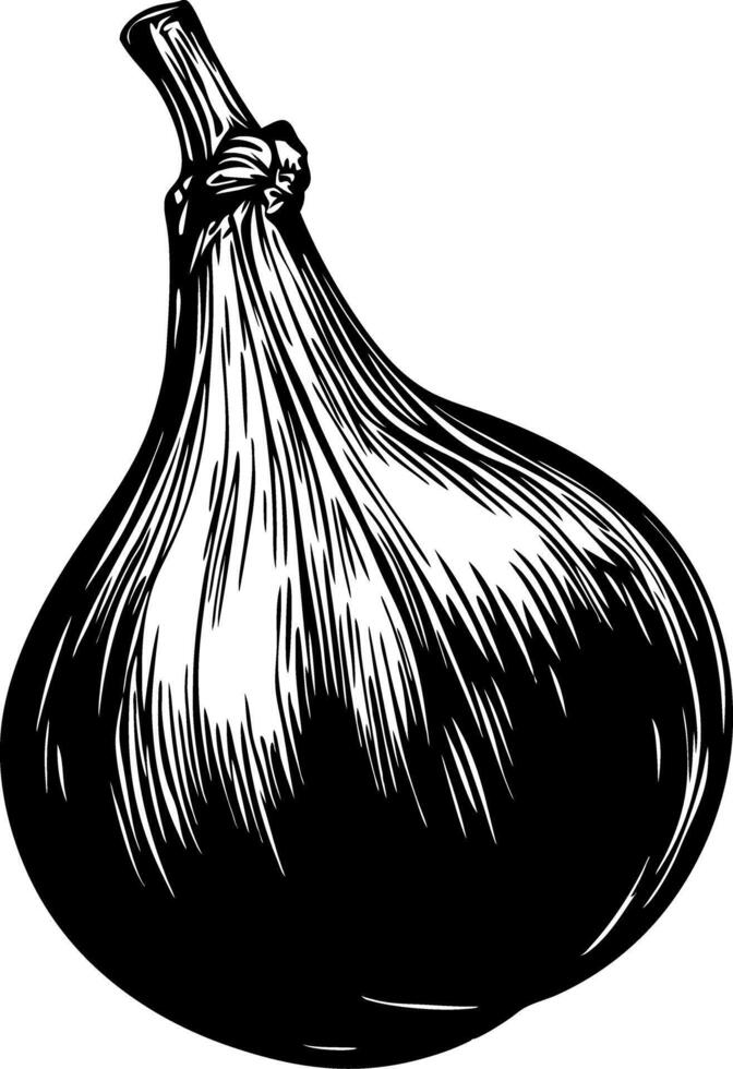 Hand Drawn Fig Illustration for Culinary and Botanical Art Projects vector