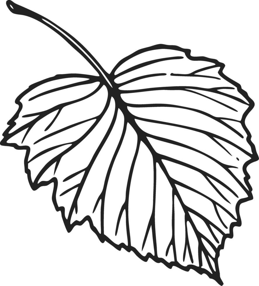 Detailed Illustration of a Single Leaf for Nature Inspired Designs vector