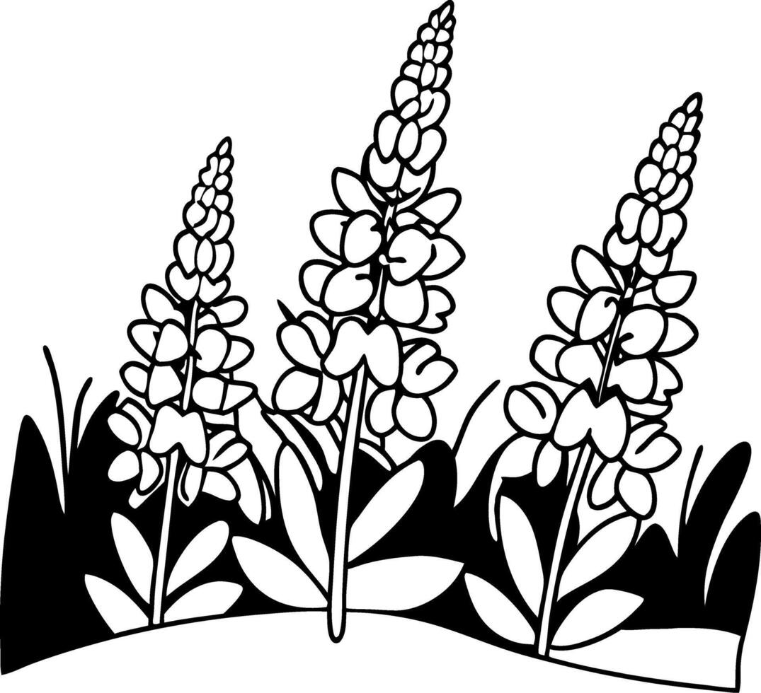 Illustration of Lupine Flowers for Nature Art and Design Projects vector
