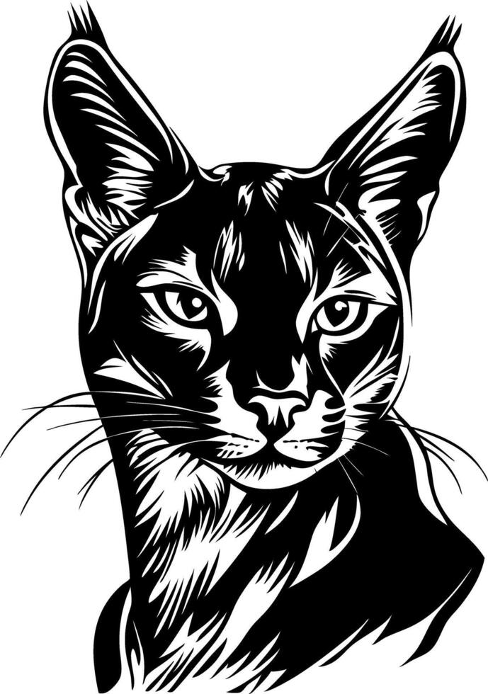 Black Cat Art for Tattoos and Coloring Books vector
