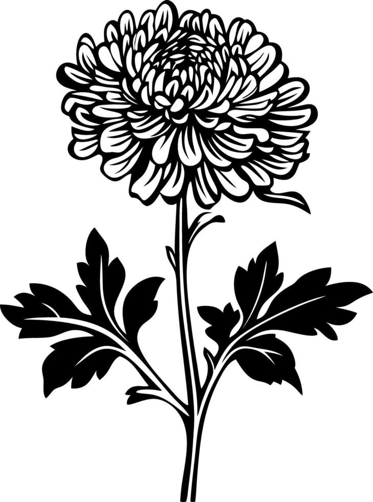 Elegant Chrysanthemum Flower Art for Tattoos and Coloring Books vector