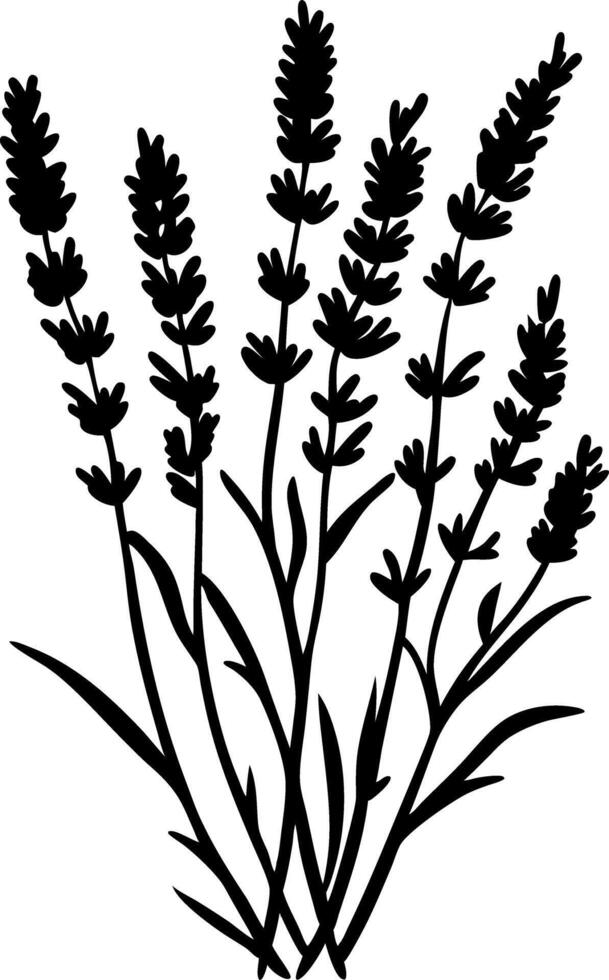Lavender Silhouette Illustration for Art and Design Projects vector