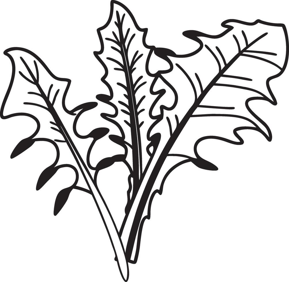 Black and White Dandelion Leaf Outline for Botanical Illustrations and Design vector