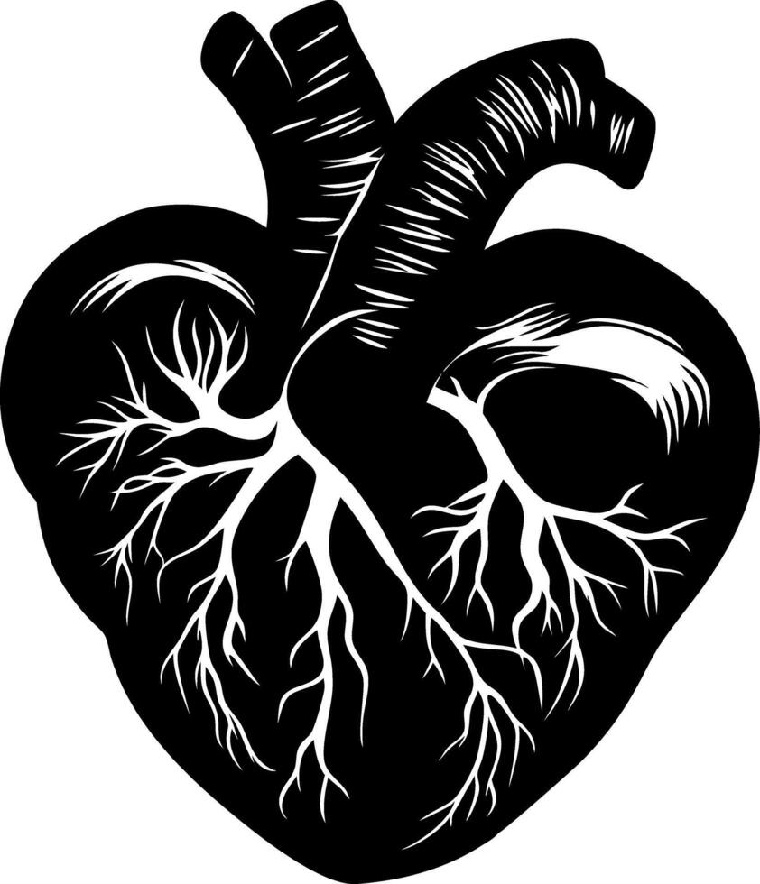 Anatomical Heart Silhouette for Tattoo and Design Projects vector