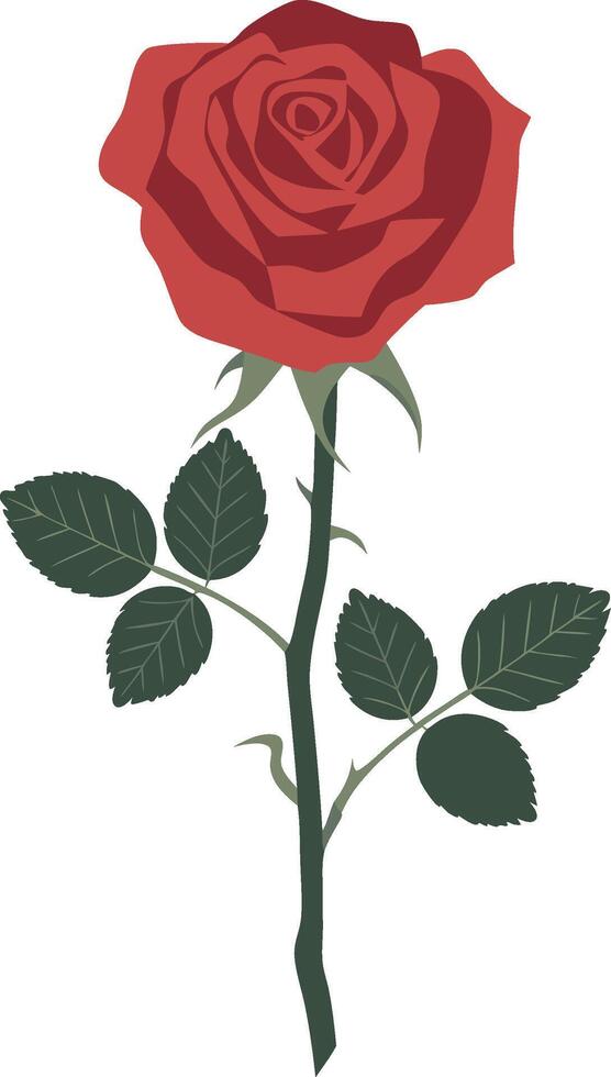 Beautiful Red Rose Illustration for Art and Design Projects vector