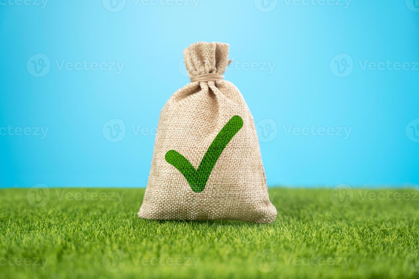 Bag with green tick. Fulfill all conditions. Complete tasks correctly. Everything is good. photo