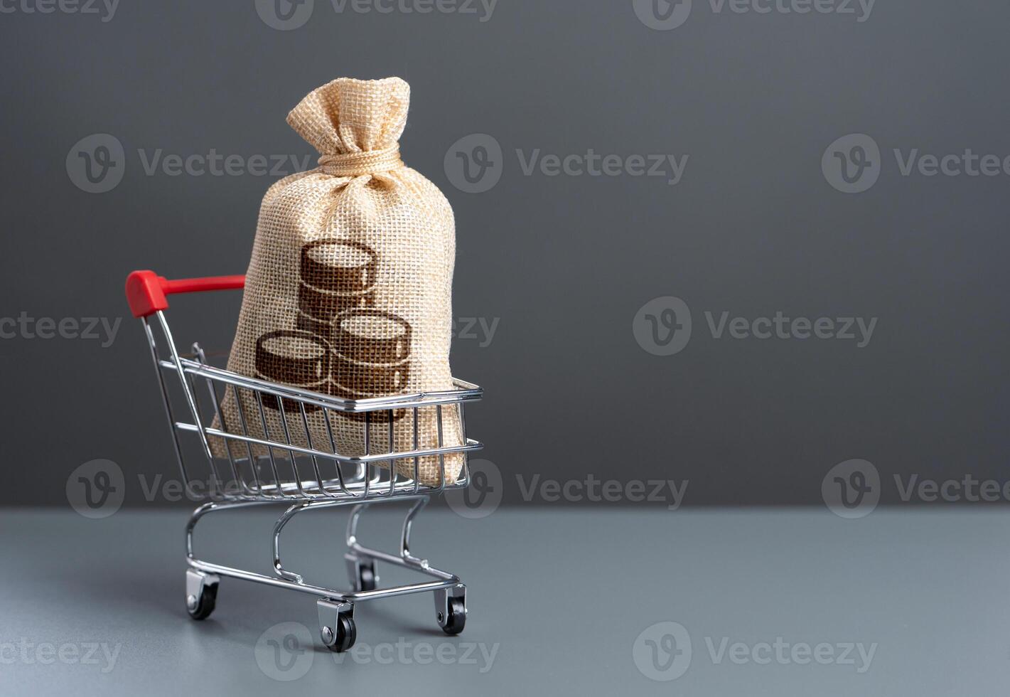 Shopping cart with a big money bag. Purchasing power of buyers. Trade and retail. Taxes. Consumer prices. Import of products. Win money for shopping. Extra income. photo