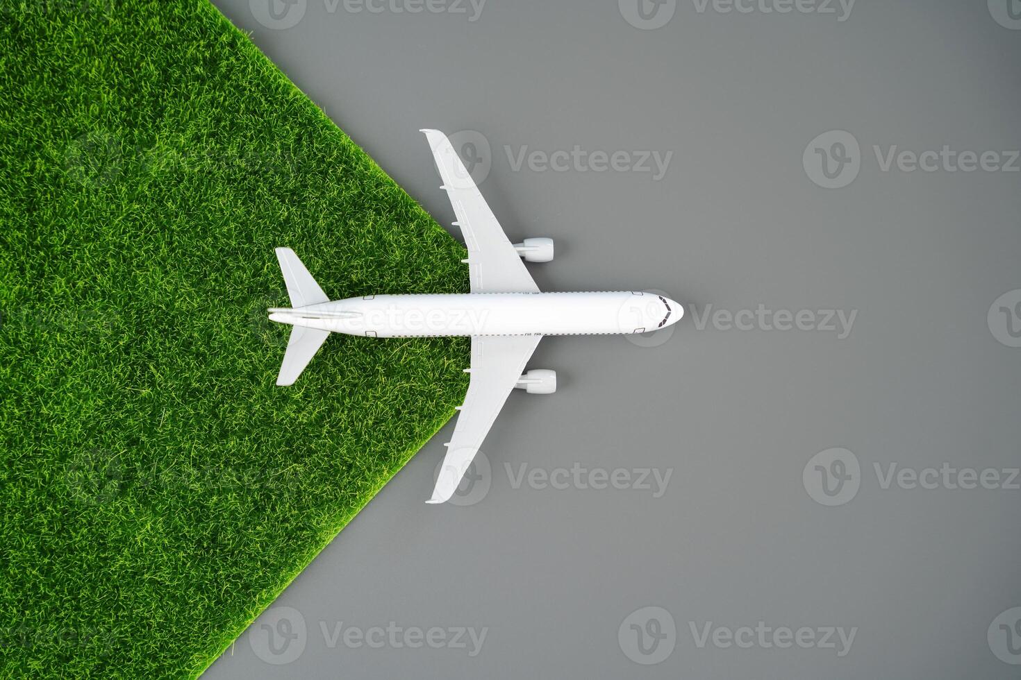 A airliner plane spreads green grass. Transition to environmentally friendly fuels, electric traction. Technological innovations. Concept of environmental friendliness and clean emissions. photo