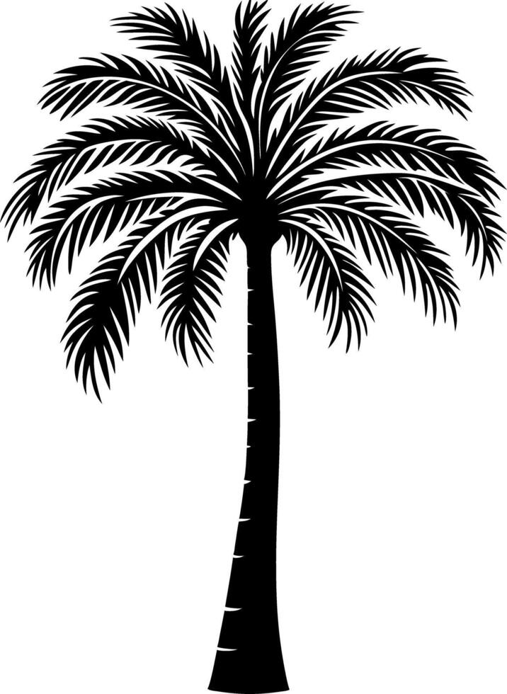 Black Silhouette Palm Tree for Tropical Design and Decoration vector