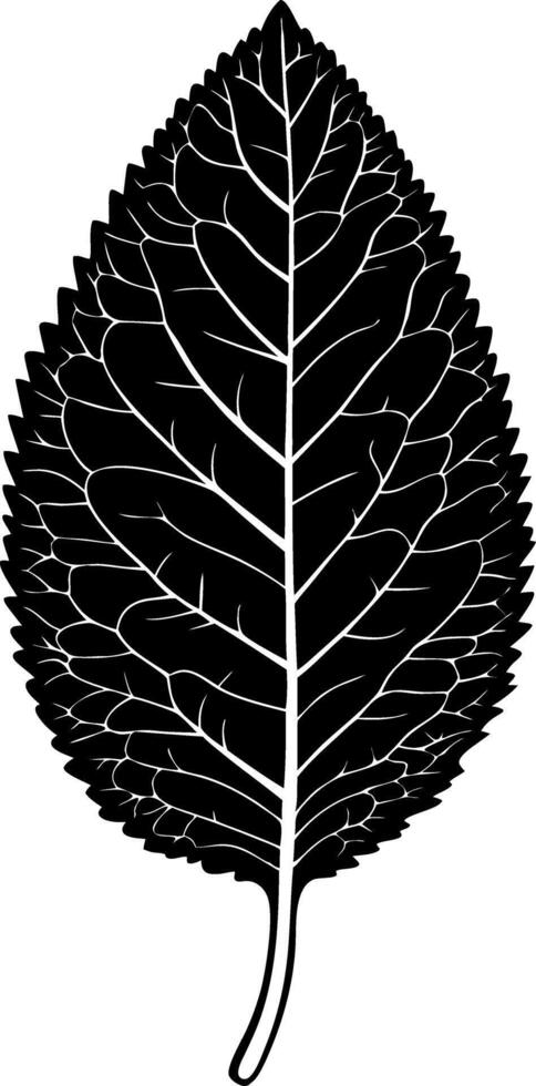 Black Silhouette Leaf Artwork for Nature Design Projects vector